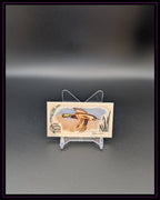 2022 Topps Allen & Ginter #MD-1 Mallard Mini Ducks